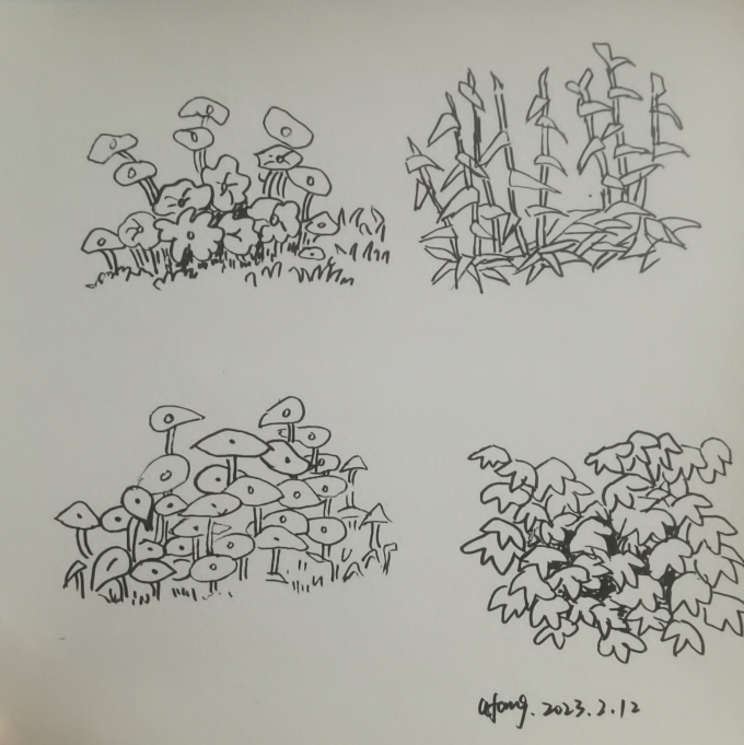 每日一画_线描画