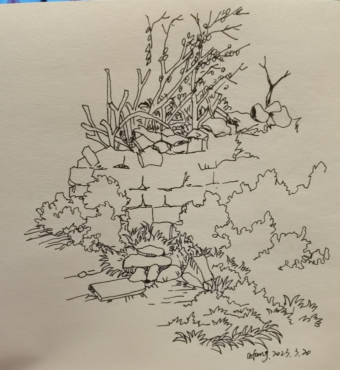 每日一画_线描画