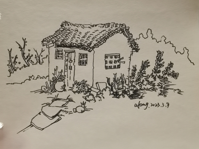 每日一画_线描画