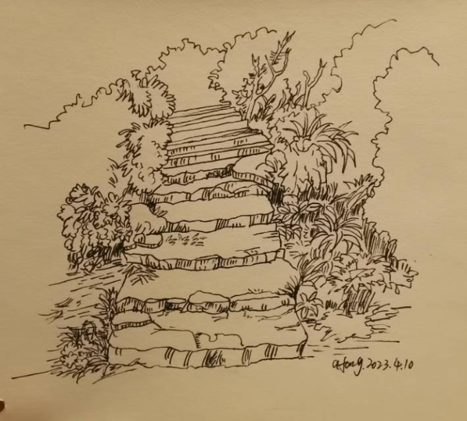 每日一画_线描画