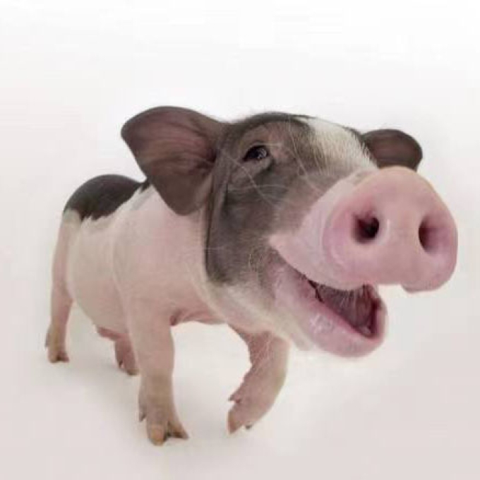 。。。。。。_线描画