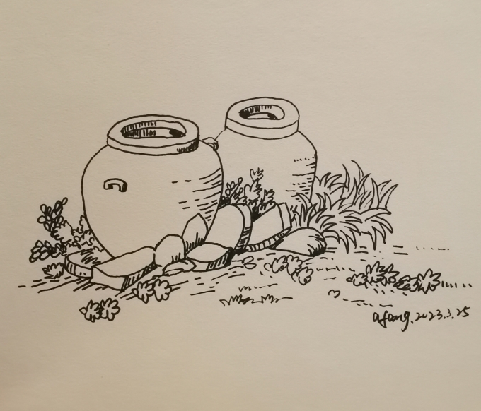 每日一画_线描画