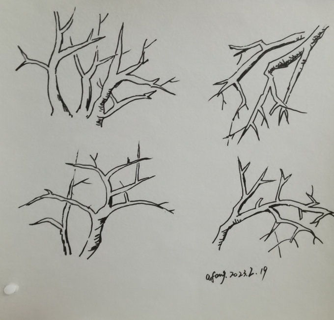 每日一画_线描画