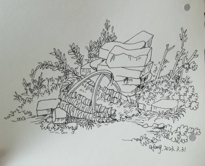 每日一画_线描画