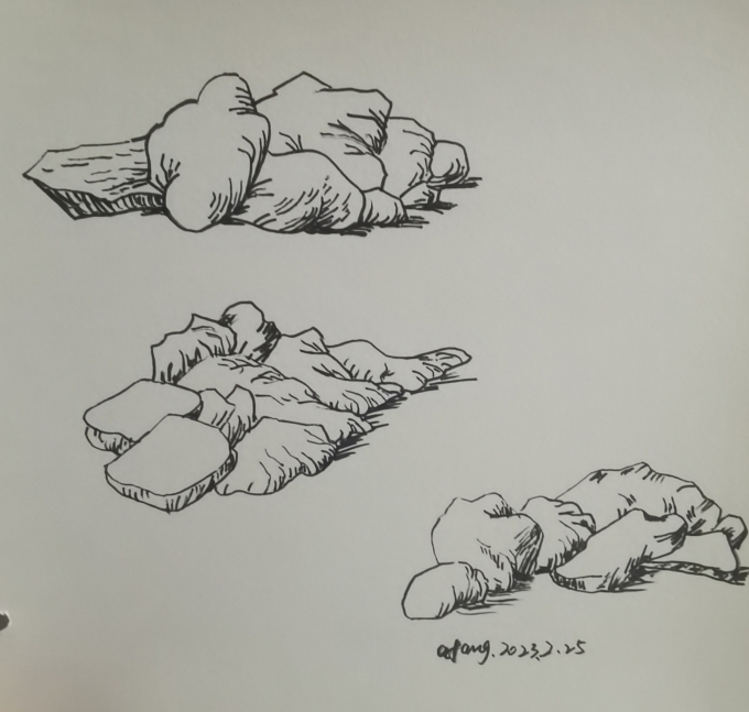 每日一画_线描画