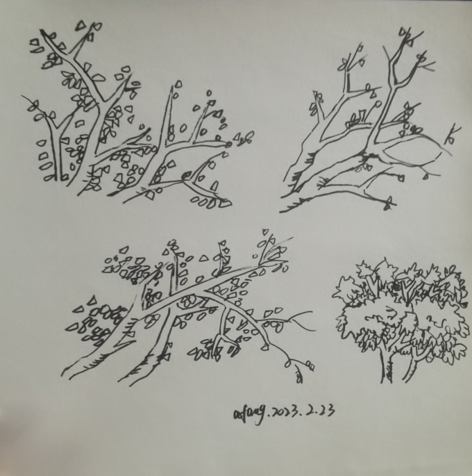 每日一画_线描画