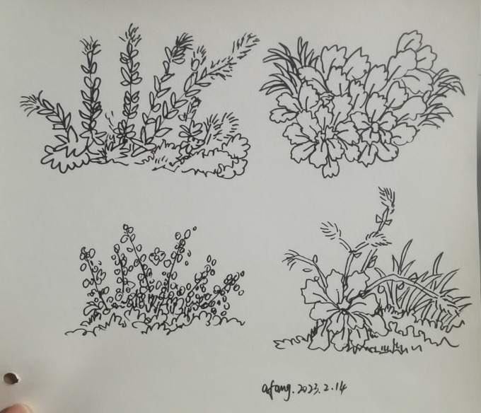 每日一画_线描画