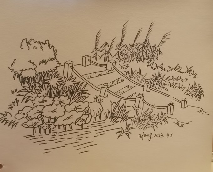 每日一画_线描画