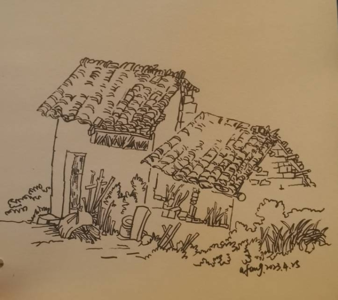 每日一画_线描画