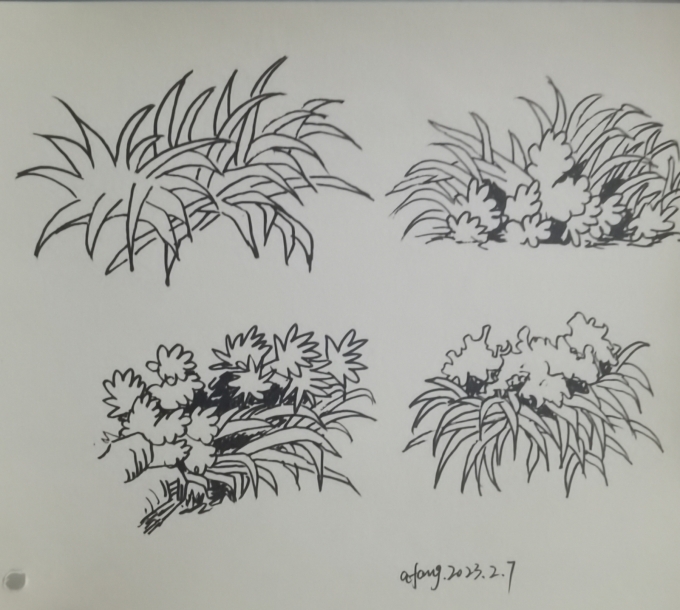 每日一画_线描画