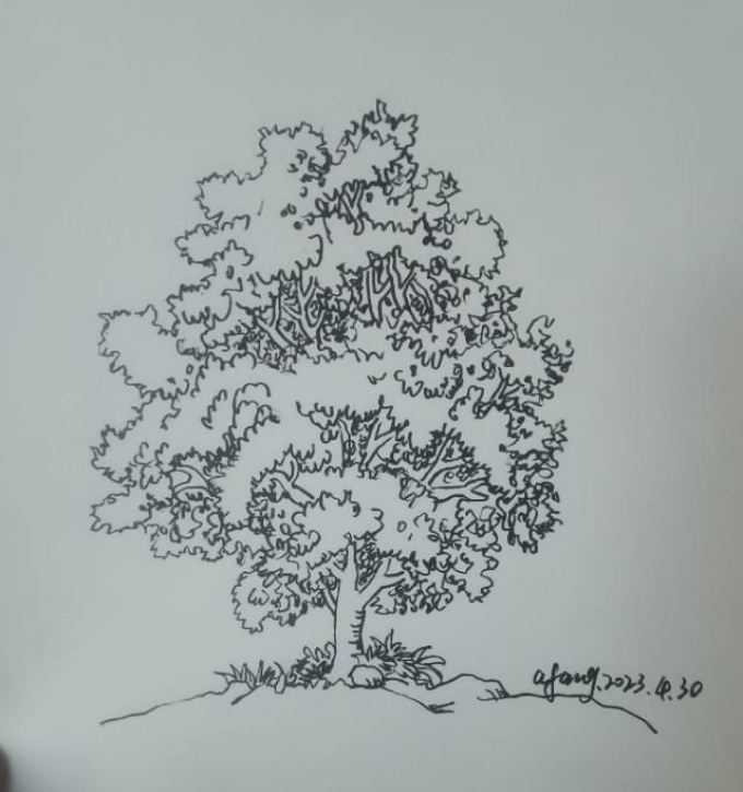 茂盛大树_线描画